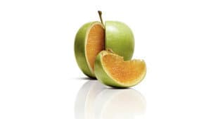 Freakonomics — foto 3