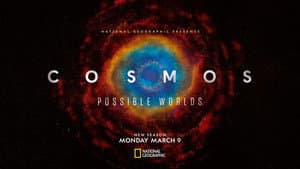 Cosmos — foto 6