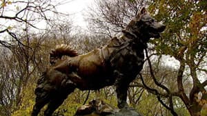 Balto - helten fra Alaska — foto 9