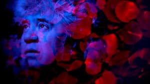 Almodóvar, todo sobre ellas — foto 2