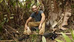 Episodio 6