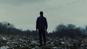 Wolves — foto 2