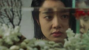 파란대문 — foto 7