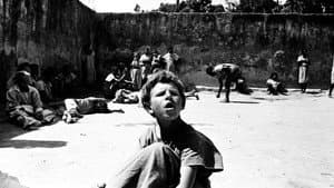 Holocausto Brasileiro — foto 2