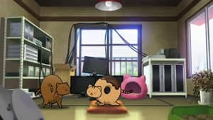 Episodio 9