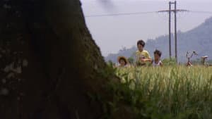 冬冬的假期 — foto 12