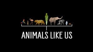 Animals Like Us — foto 3