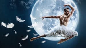 Matthew Bourne's Swan Lake — foto 2