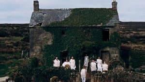 Enys Men — foto 12