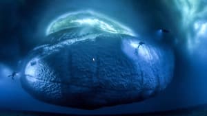 Antarctica, sur les traces de l'empereur — foto 7