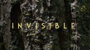 Invisible - Revealing Hidden Disabilities — foto 1