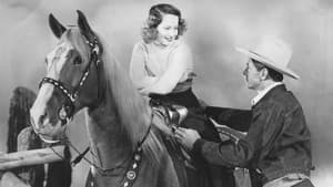 El vaquero y la dama — foto 10