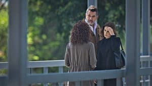 Episodio 14