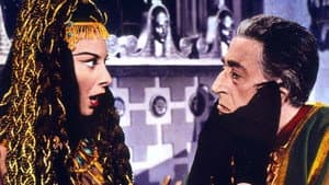 Totò e Cleopatra — foto 1