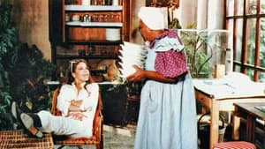 El solterón domado — foto 2