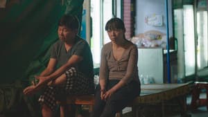 남매의 여름밤 — foto 8