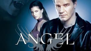 Angel — foto 12