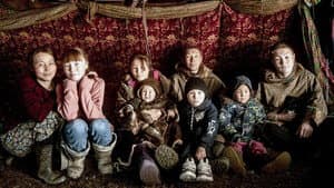 Gaz russe, la dernière route des Nenets — foto 1