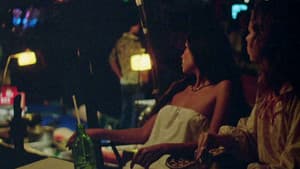 Felicity — foto 8