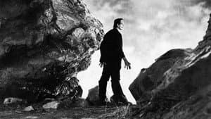 Frankenstein — foto 1