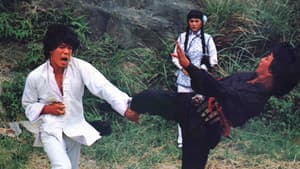 Ying quan — foto 1