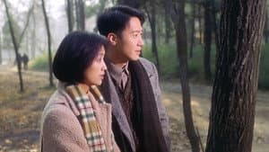 半生緣 — foto 2
