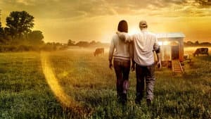 Mi gran pequeña granja: El regreso — foto 3