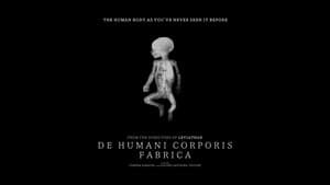 De humani corporis fabrica — foto 5