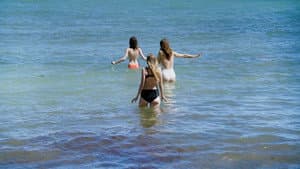 Sange i solen — foto 8