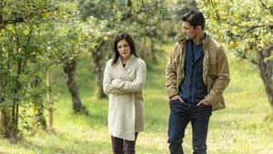 Harvest Love — foto 4