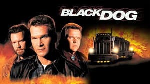 Black Dog — foto 3