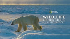 Wild Life: The Big Freeze — foto 1