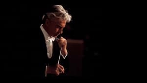 Karajan · Die Symphonien — foto 2