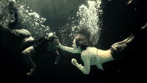Shelter — foto 5