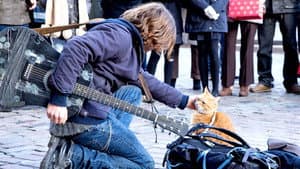 Un gato callejero llamado Bob — foto 9