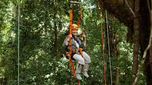 Judi Dench's Wild Borneo Adventure — foto 1