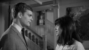 David and Lisa — foto 5