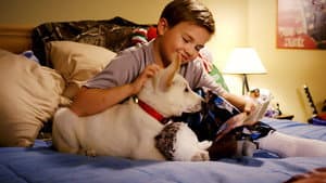 Un perro en Navidad — foto 1