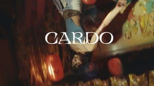 Cardo — foto 2