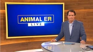 Animal ER Live — foto 1