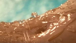 Playboy: Wet & Wild V — foto 1