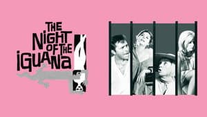 La noche de la iguana — foto 7