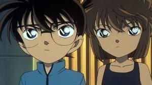 Episodio 206