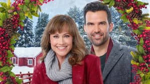 Cranberry Christmas — foto 8