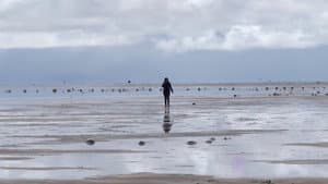 Enterrados en el desierto