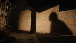 Strangers — foto 10