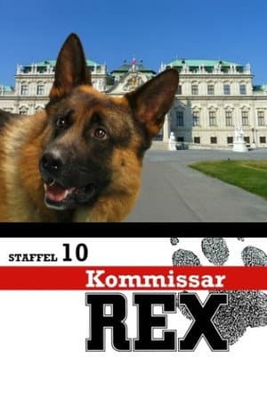 Temporada 10