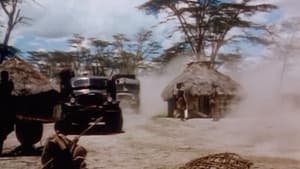 Jungle Safari — foto 1