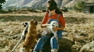 Hambone and Hillie — foto 5