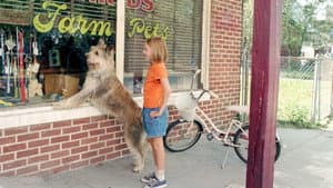 El Perro Sonriente — foto 6